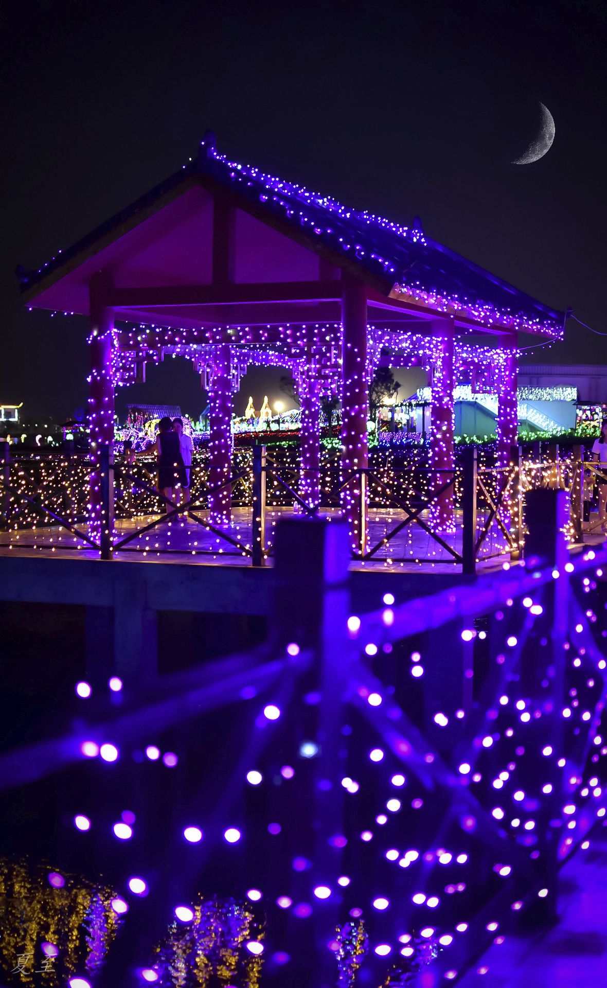 花博园的灯火,去看了没有 - 我是拍客 - 荆门社