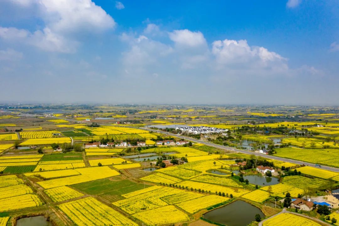 沙洋邀您共品春天之味!